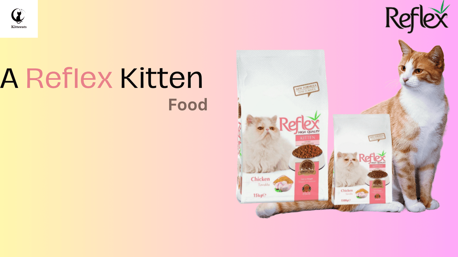 reflex kitten food