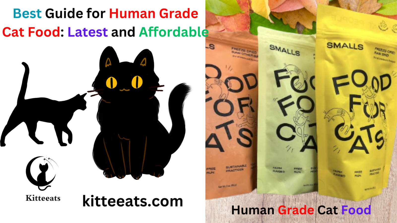 Human Grade Cat Food