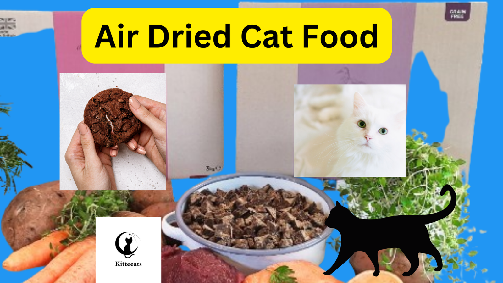 Air Dried Cat Food