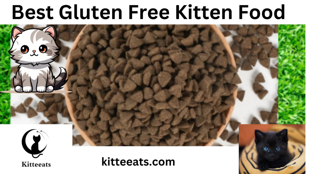 Gluten Free Kitten Food