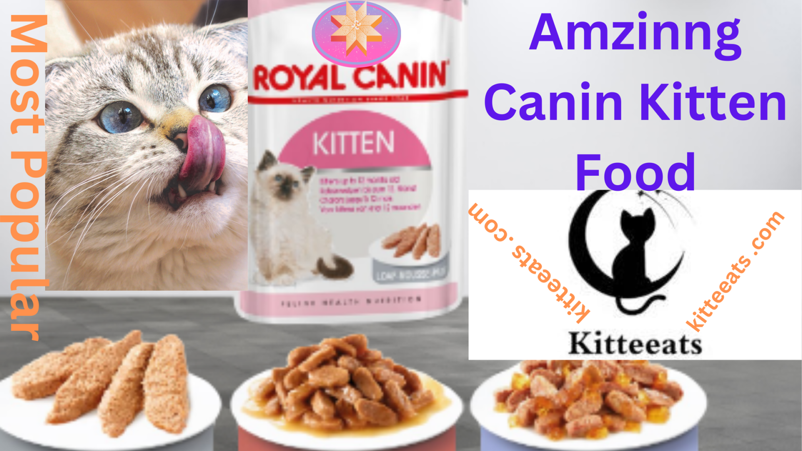 Canin Kitten Food