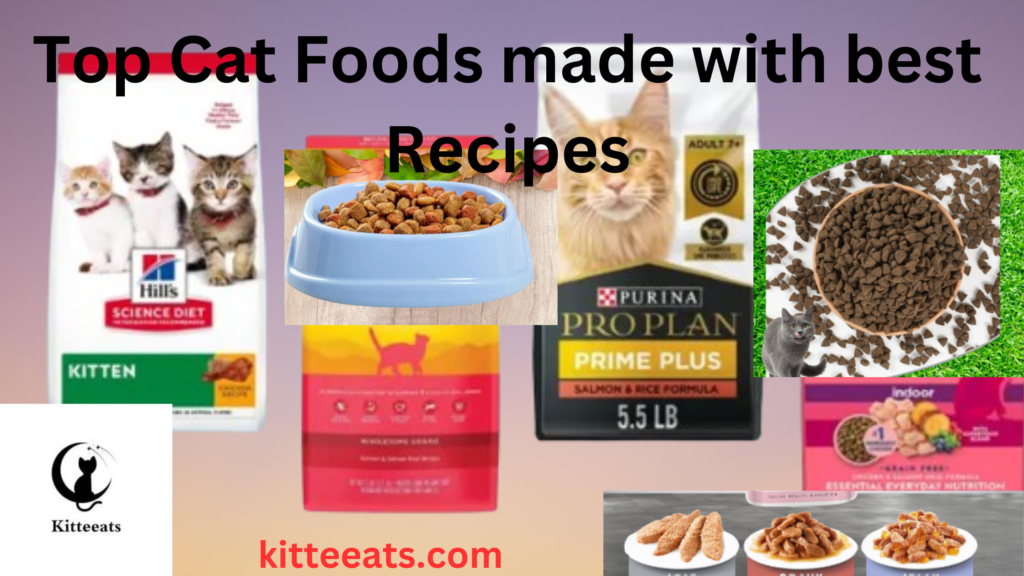 Top 5 Recipes of Cat Food