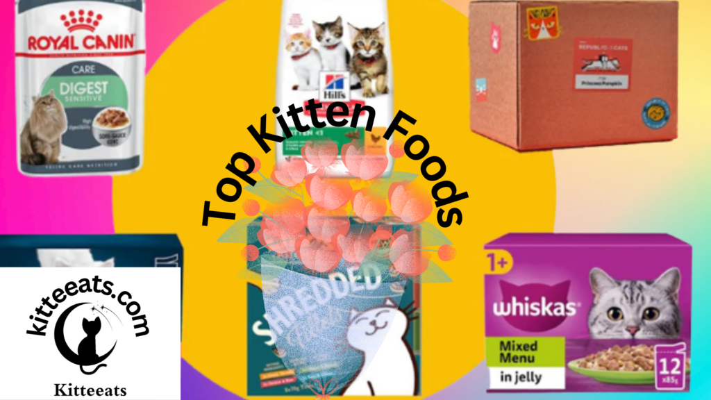 Ultimate Guide to the Top Kitten Foods