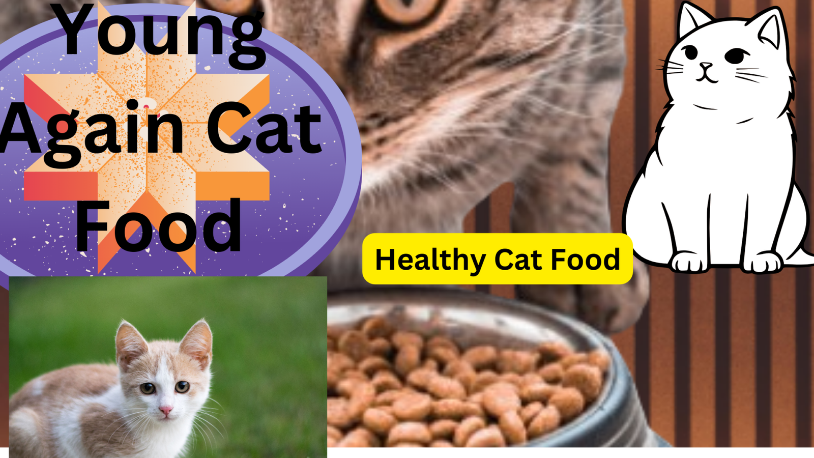 Young Again Cat Food: Nourishing Senior Cats for Optimal Health