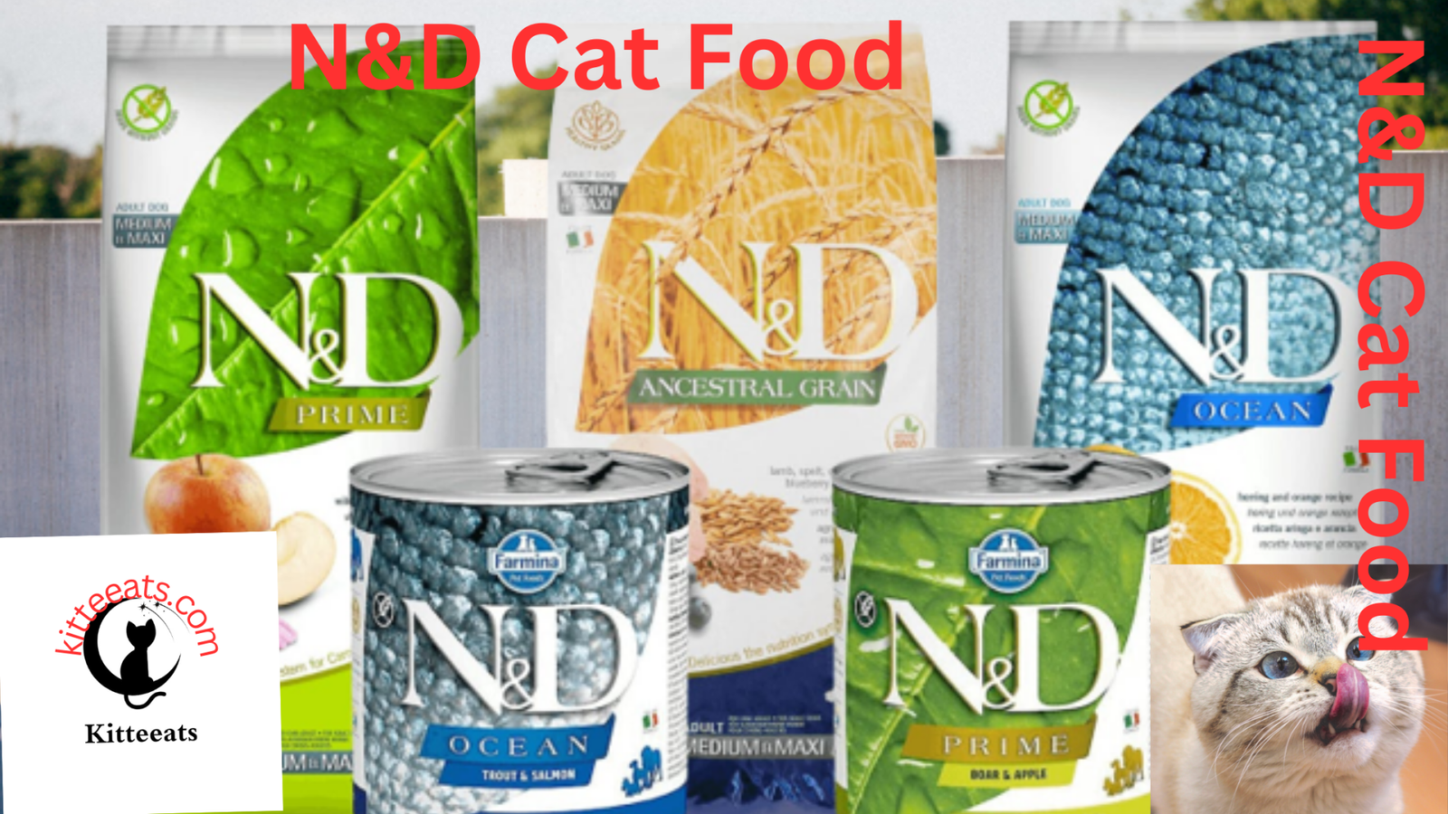 N&n Cat Food