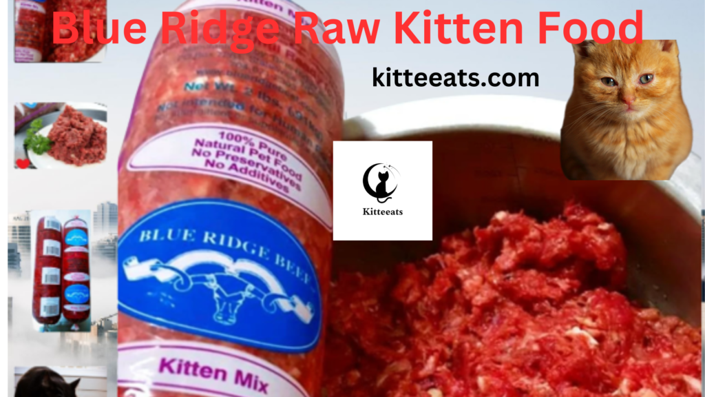 Blue Ridge Raw Kitten Food