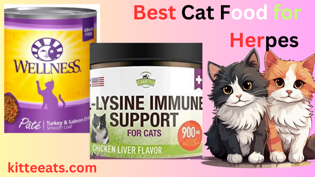 Best Cat Food for Herpes