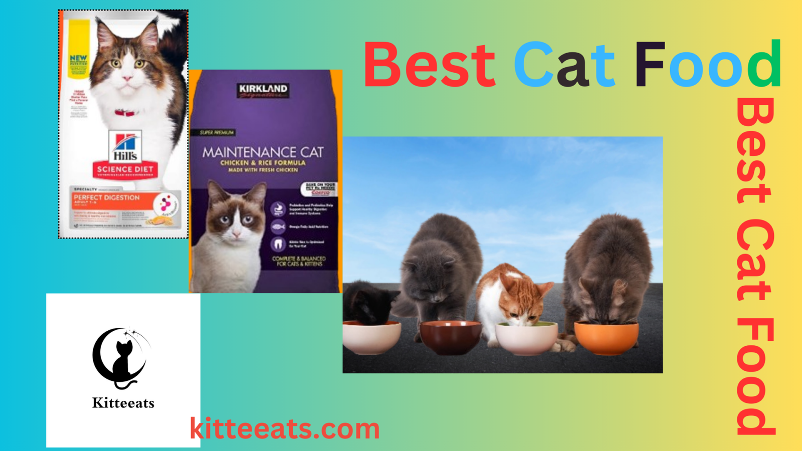 Best Cat Food