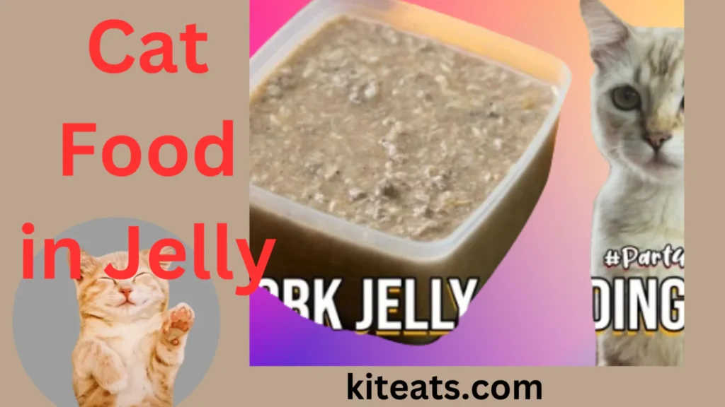 Cat Food In Jelly