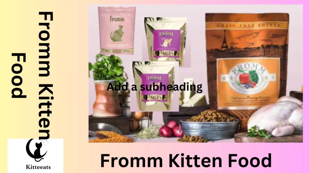 Fromm Kitten Food