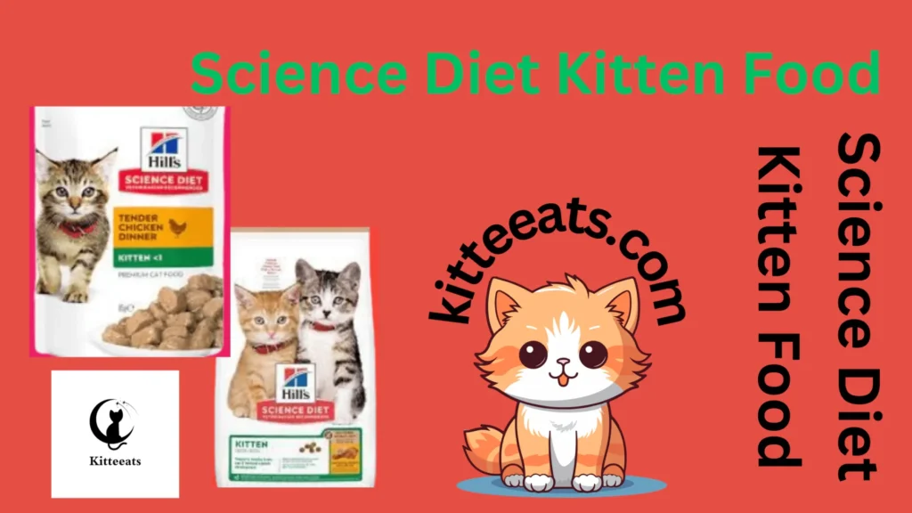 Science Diet Kitten Food