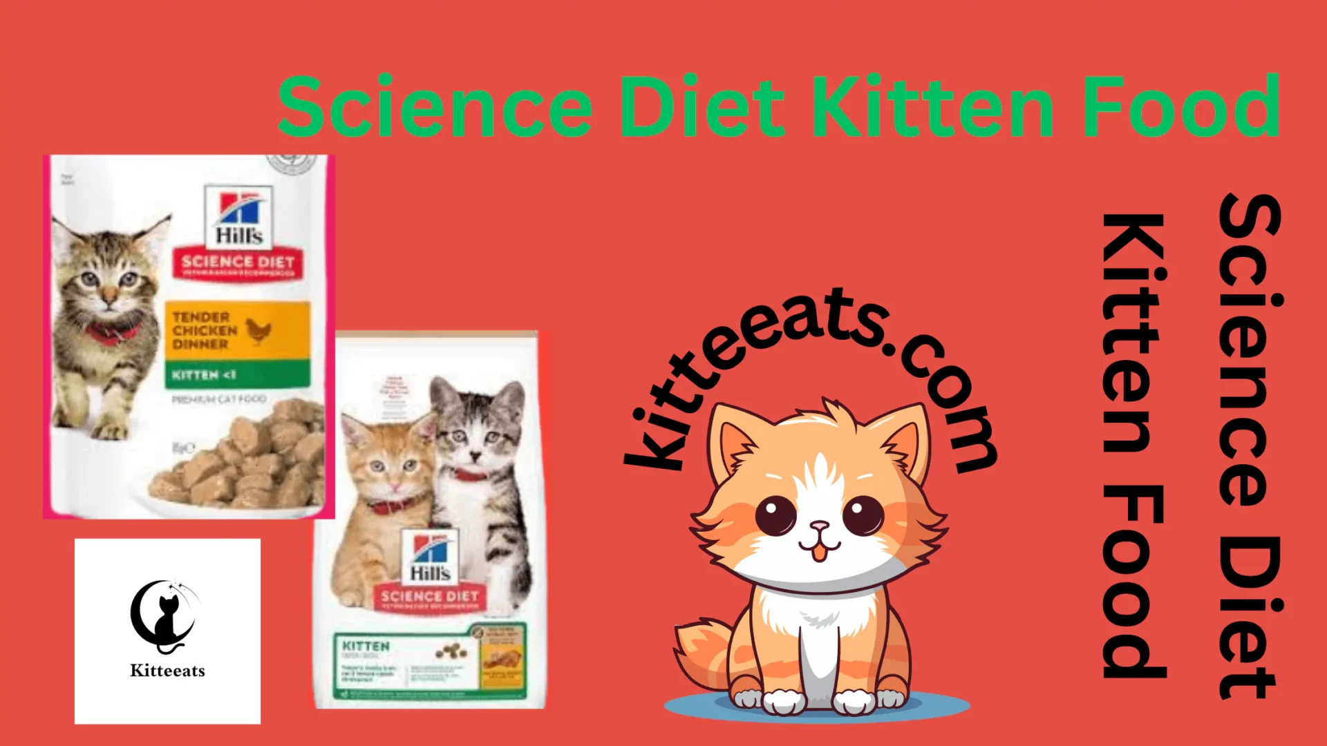 Science Diet Kitten Food