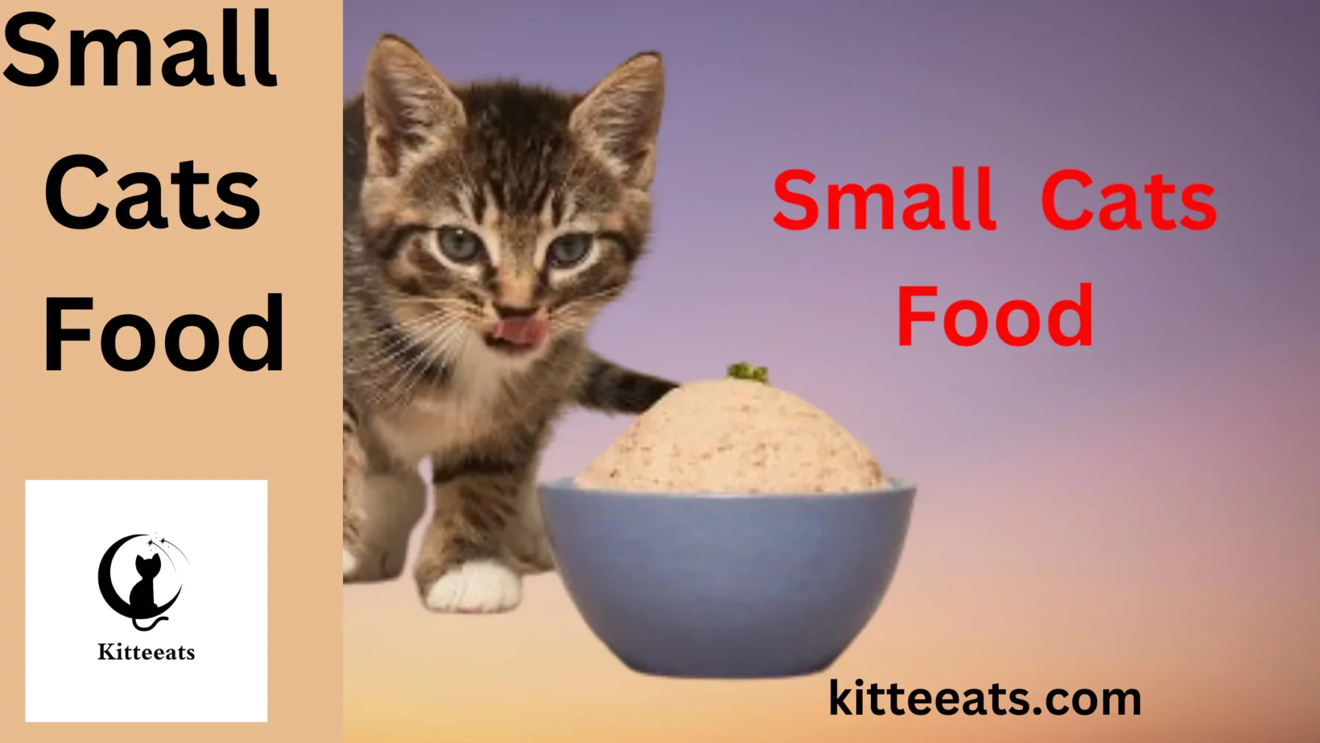 Small Cats Food