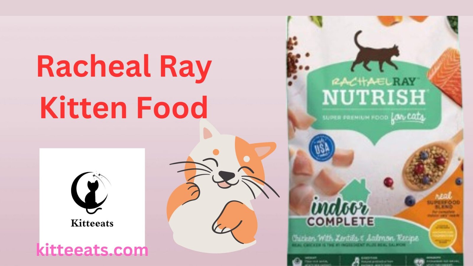 Racheal Ray Kitten Food