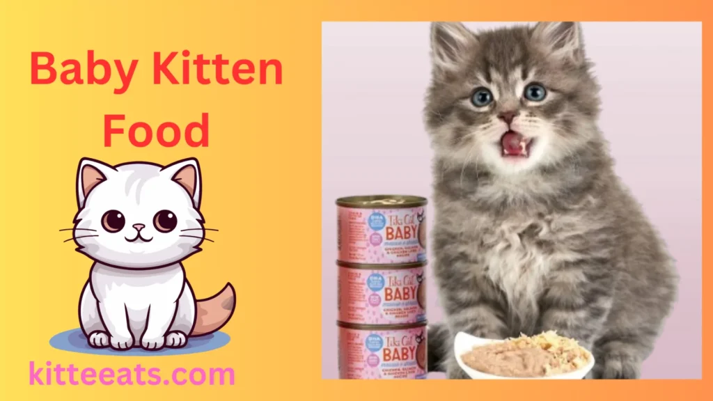 Baby Kitten Food