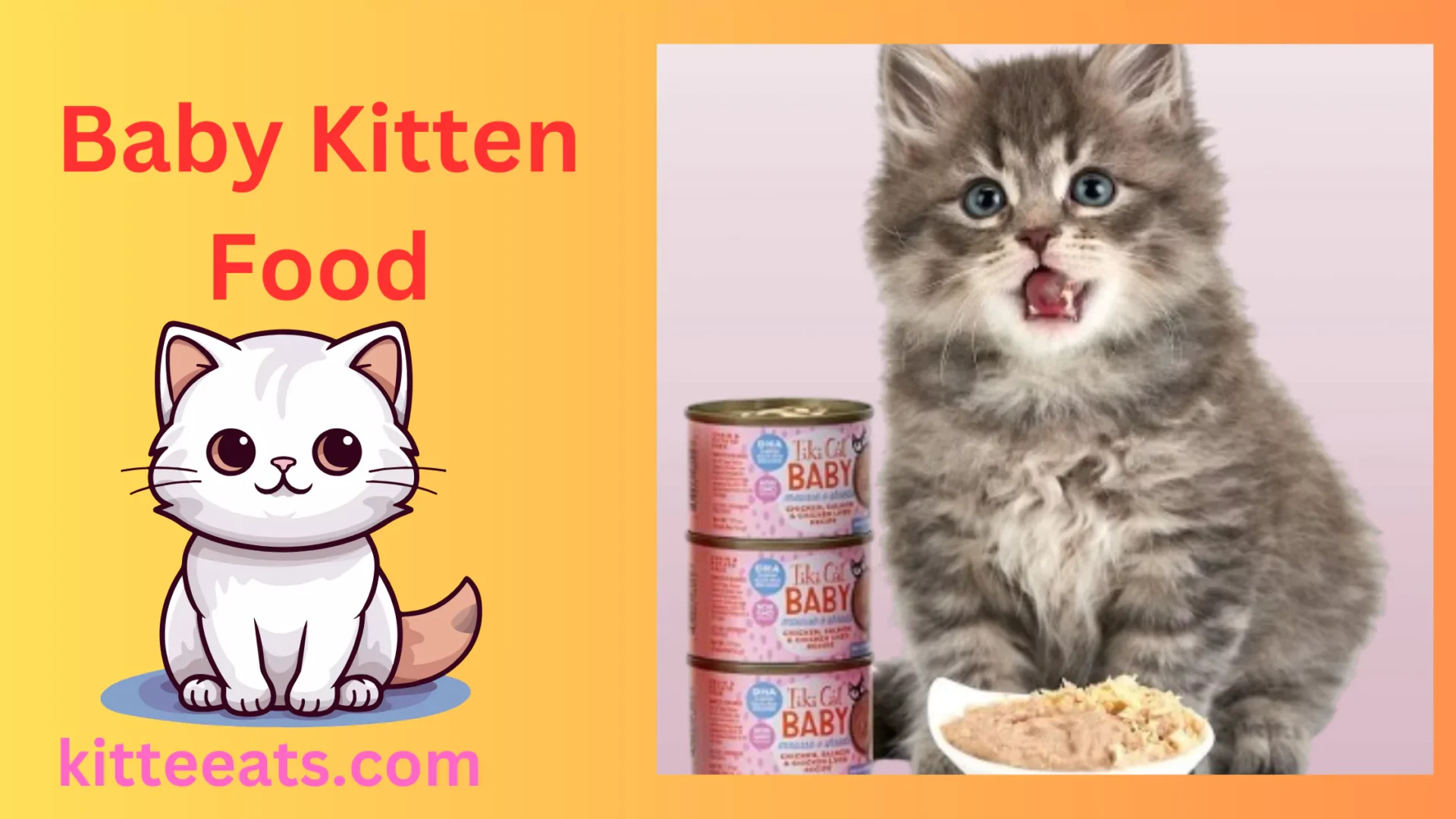 Kitten Food - Kitteeats