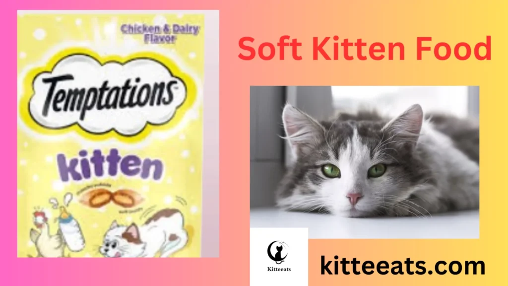 Soft Kitten Food