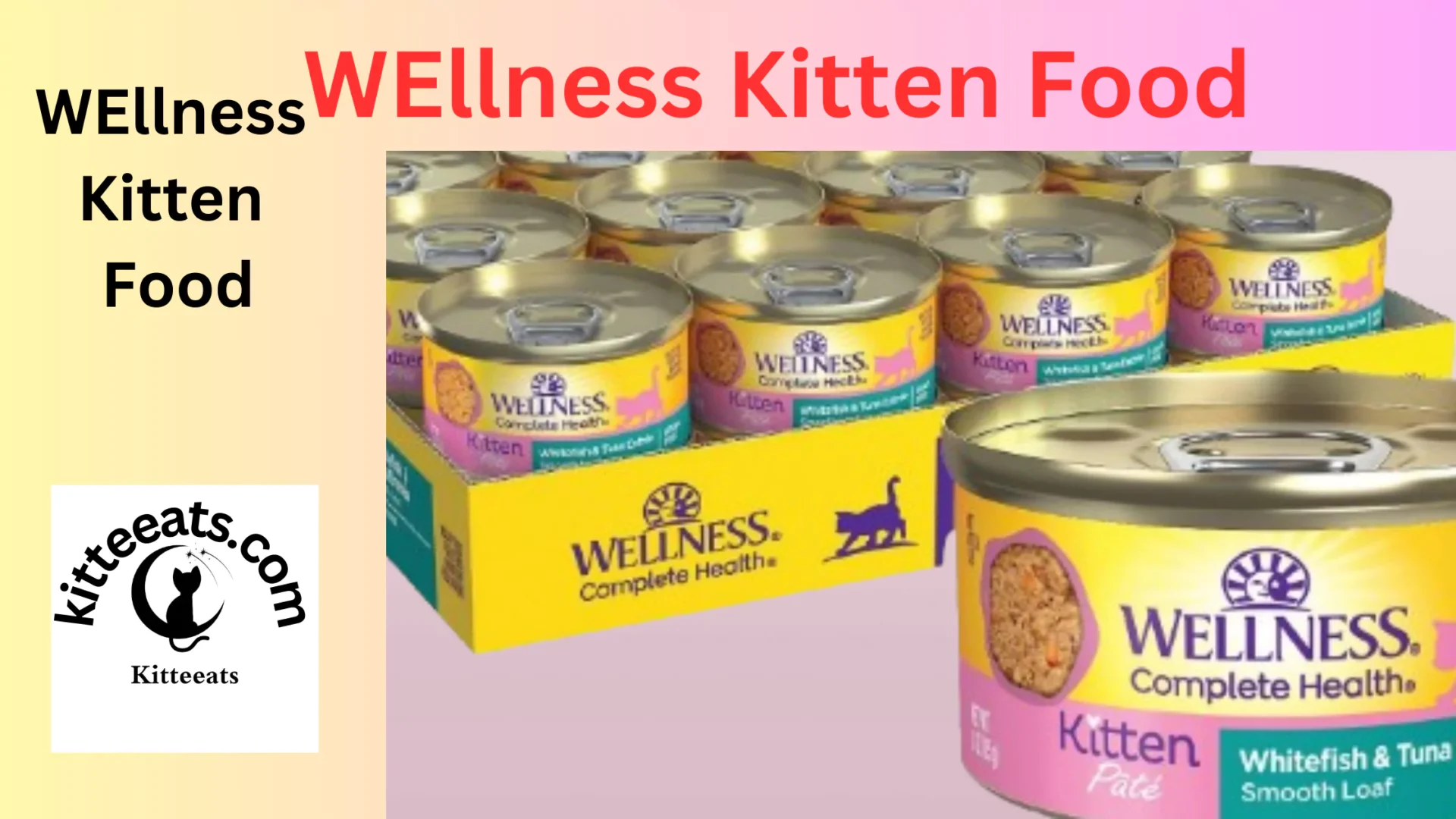 Wellness Kitten Food