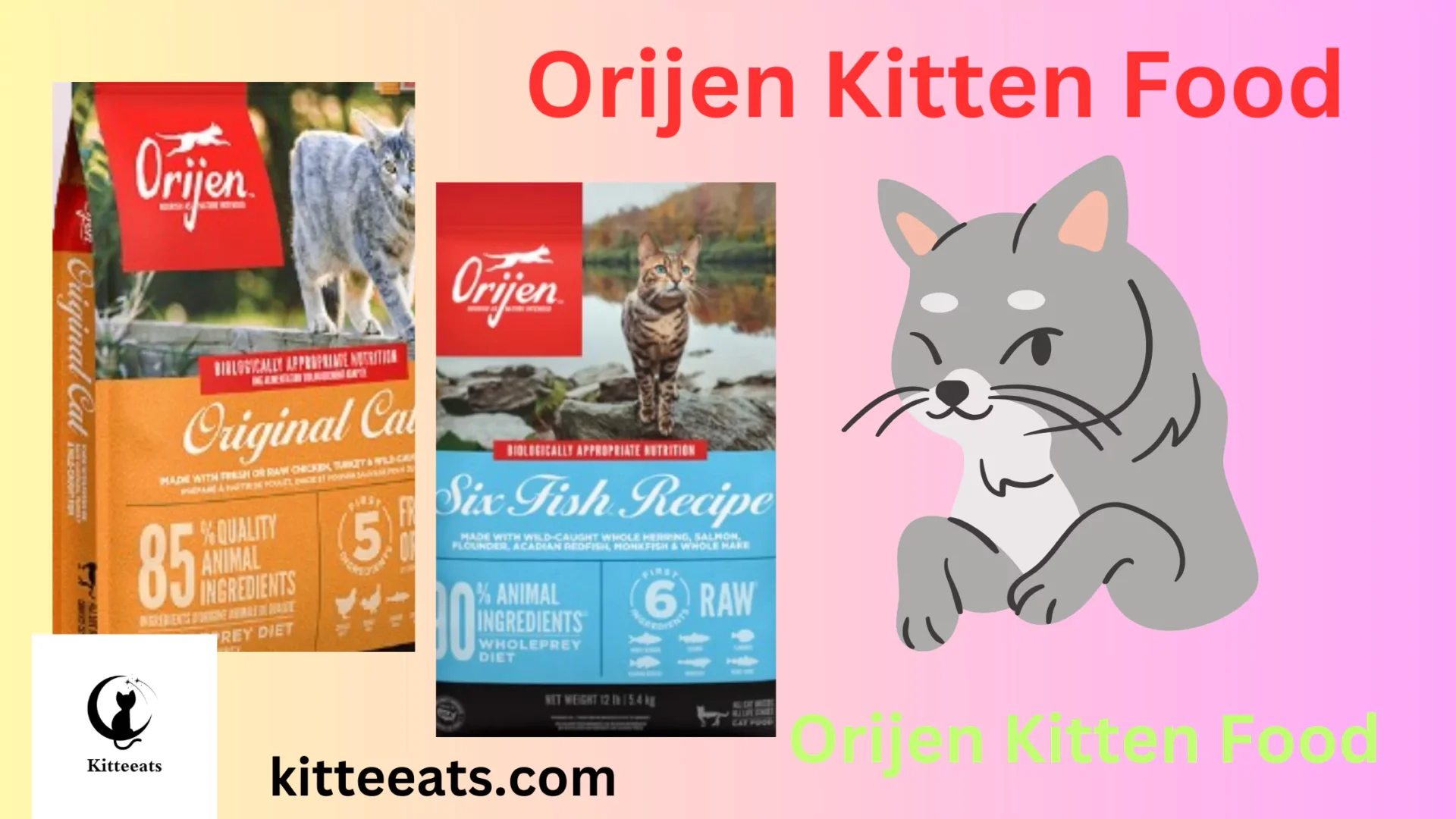 Orijen Kitten Food