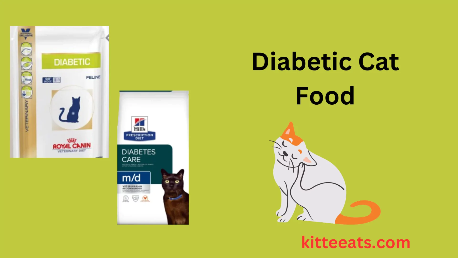 Diabetic Cat Food