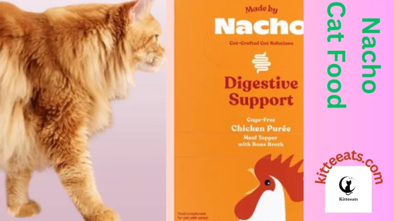 Nacho Cat Food(2024): Reasons Why Your Cat Will Love