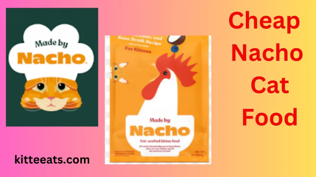 cheap nacho cat kitten food