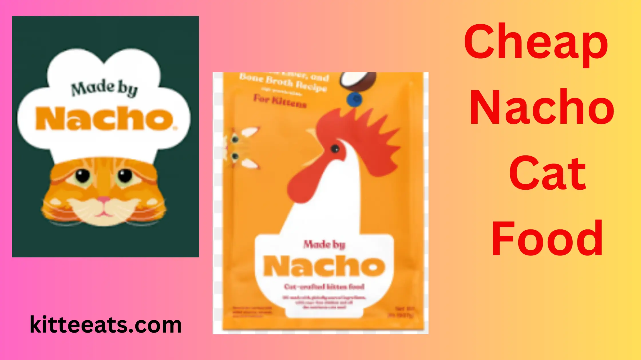 cheap nacho cat kitten food